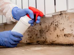 Best Mold Odor Removal Services  in Crivitz, WI